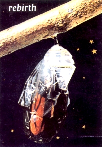 this is card 36